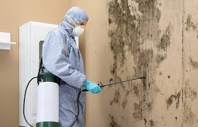 Best Air Quality Testing for Mold Spores  in USA